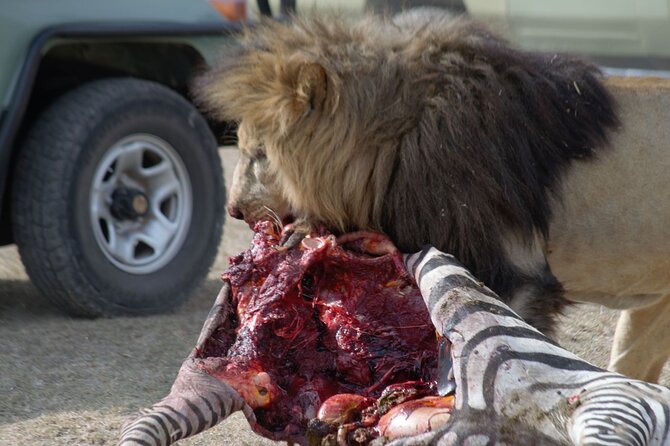 8 Day private wildebeest migration safari Serengeti Ngorongoro - Day 8: Materuni Waterfalls and Chemka Hot Spring