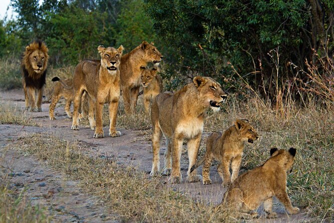 8 Day Safari The Best of Tanzania & Lake Eyasi - Day 1: Arusha is your soft landing