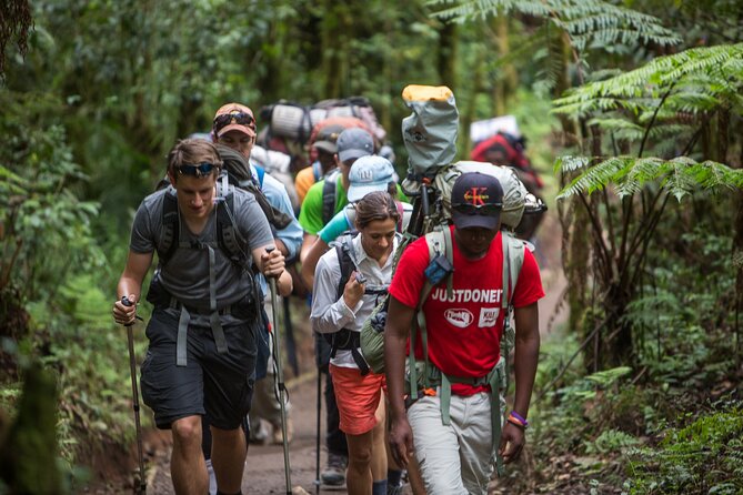 8-Day Small-group Lemosho Kilimanjaro Summit Trekking - Day 5: Up the Barranco Wall