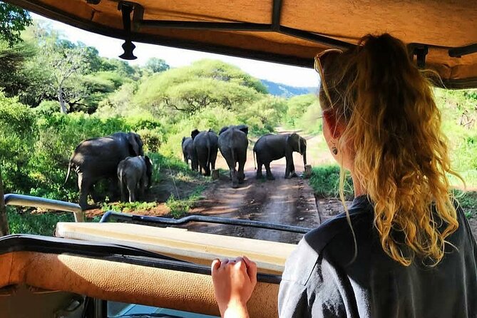 8-Day Tanzania Private Safari Tour with Airport Pickup - Why this eight-day route works