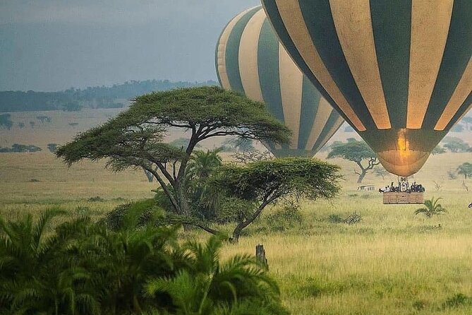 8-Day Tanzania Private Safari Tour with Airport Pickup - Day 4: Olduvai Gorge and the road to Serengeti