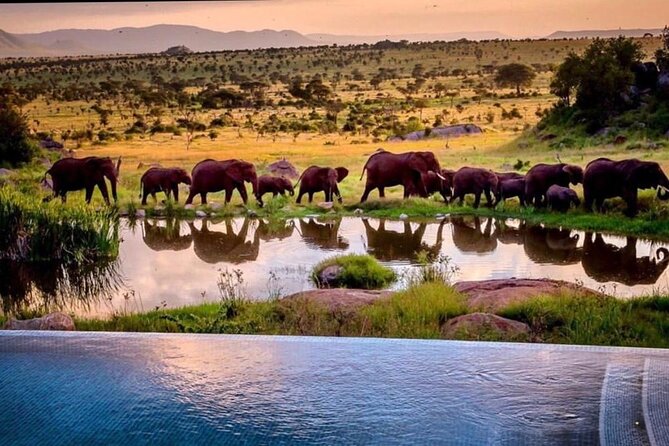 8-Day Tanzania Private Safari Tour with Airport Pickup - Day 8: Returning to Kilimanjaro