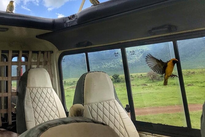 8-Day Tanzania Private Safari Tour with Airport Pickup - Day 1: A soft landing in Arusha