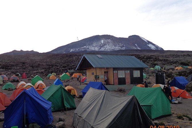 8 Days 7 Nights Kilimanjaro Lemosho Route - Day 1: Moshi to the Rainforest at Londorossi
