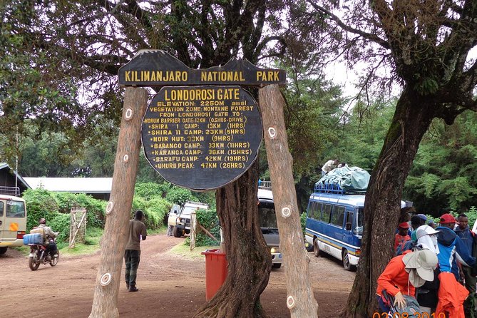 8 Days 7 Nights Kilimanjaro Lemosho Route - Day 5: The Barranco Wall and Karanga Valley
