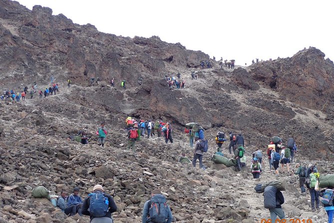 8 Days 7 Nights Kilimanjaro Lemosho Route - Day 6: Barafu Camp and the Final Rest