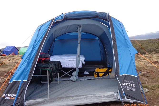 8 Days 7 Nights Kilimanjaro Lemosho Route - Day 7: Uhuru Peak and the Long Descent