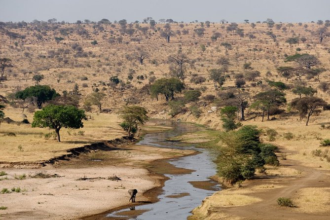 8 Days 7 Nights Tanzania Wildlife & Culture Lodge Safari - Day 6: Wildlife in the Ngorongoro Crater