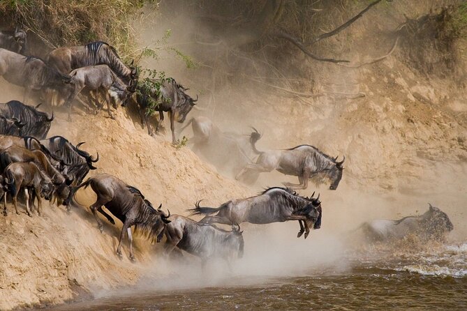 8 Days Follow the Wildebeest Migration River Crossing Safari - Day 2: Tarangire’s elephants and quiet game roads