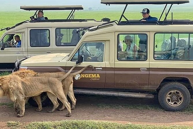 8 Days Follow the Wildebeest Migration River Crossing Safari - Day 3: Entering the Serengeti at Seronera