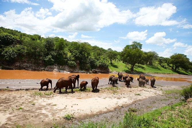 8 Days Great Wildebeest Calving Migration Safari from Arusha - Key points to know before booking