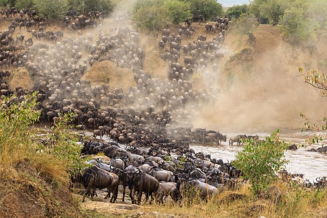 8 Days Great Wildebeest Migration - Mara River Crossing - What the $4,374 price covers