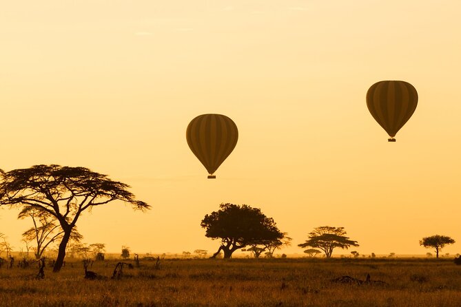 8 Days Green Season Offer - Luxury Serena Safari - Day One: A Gentle Start in Arusha