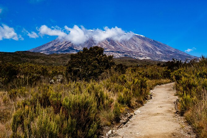 8 Days Guided Private Trekking in Mount Kilimanjaro - A well-paced route to Africa’s highest summit