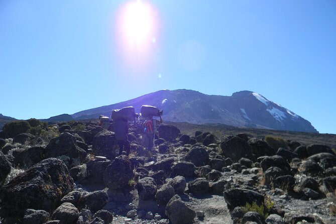 8 Days Kilimanjaro Climbing tour via the Lemosho Route - Why the Lemosho Route is worth eight days