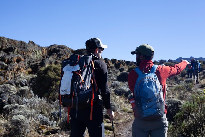 8 Days Kilimanjaro Climbing tour via the Lemosho Route - Day 5: Barranco Wall to Karanga Camp