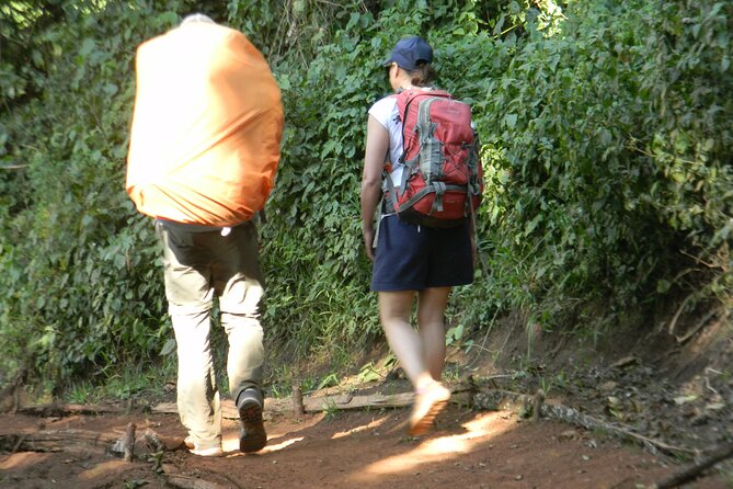 8 Days Kilimanjaro Climbing tour via the Lemosho Route - Day 7: The night climb to Uhuru Peak
