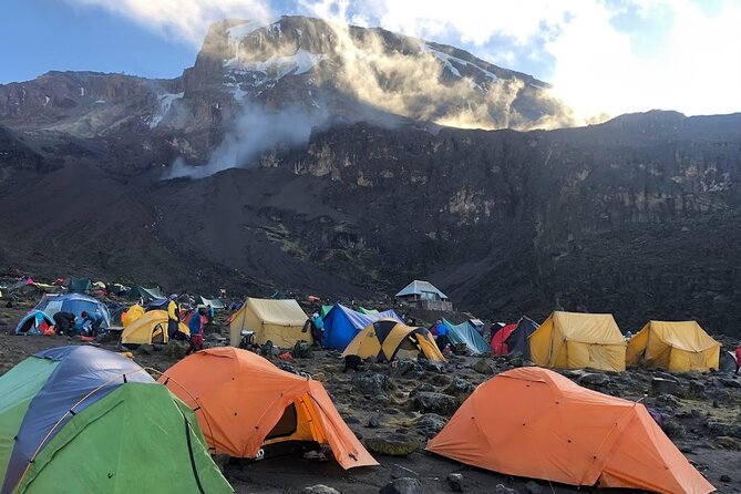 8 Days Kilimanjaro Hike via Lemosho Route - Day 5: Barranco Wall to Karanga Valley