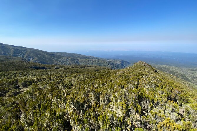8 Days Lemosho Route - Day 8: Forest descent and a hot lunch in Mweka Village
