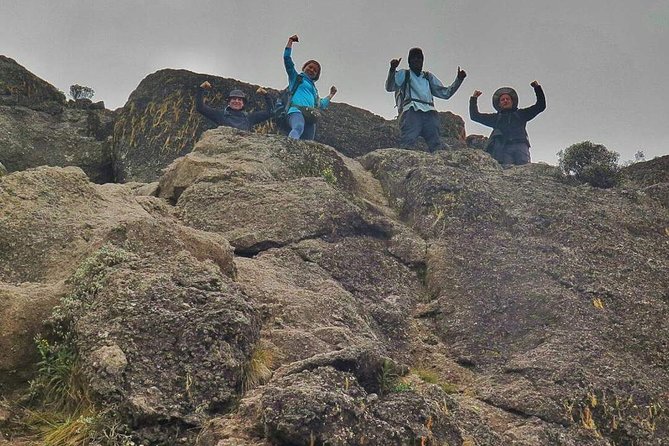 8 Days Lemosho Route Climbing - Guide support from Patrick, Ringo, Arthur, Michael, and Eden