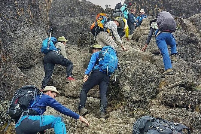 8 Days Lemosho Route Climbing - Summit day and the value of a slower schedule
