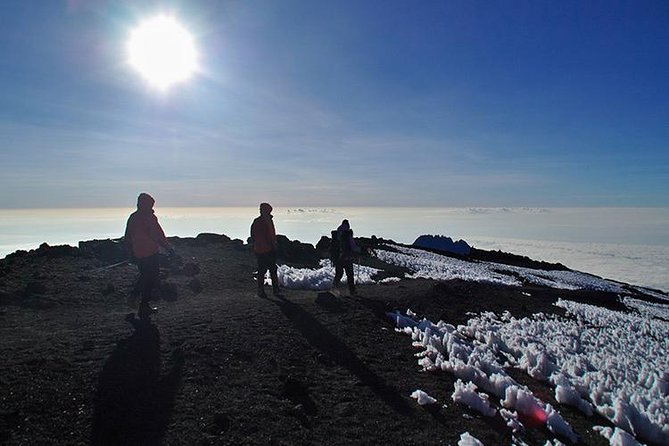 8 Days Lemosho Route Climbing - Who should choose this Lemosho climb