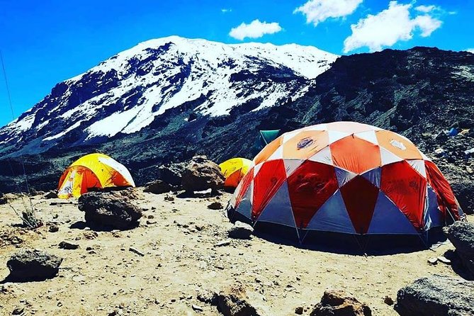 8 days Lemosho route Climbing Mt. Kilimanjaro - What the 8-day Lemosho route is really like