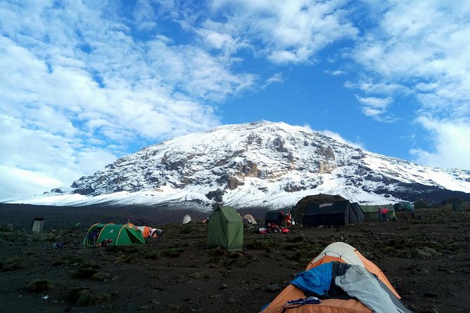 8 days Lemosho route Climbing Mt. Kilimanjaro - Day 2: Climbing through heather to Shira 1