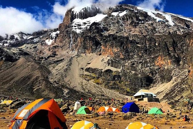 8 days Lemosho route Climbing Mt. Kilimanjaro - Day 3: Shira 2 and the quieter Moir Hut area