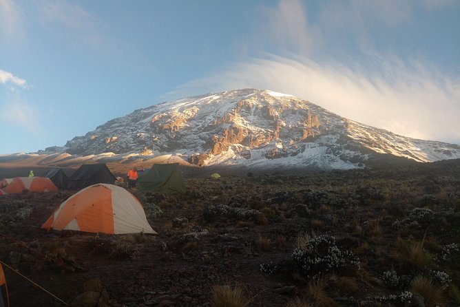 8 days Lemosho route Climbing Mt. Kilimanjaro - Day 5: The Barranco Wall and Karanga Camp