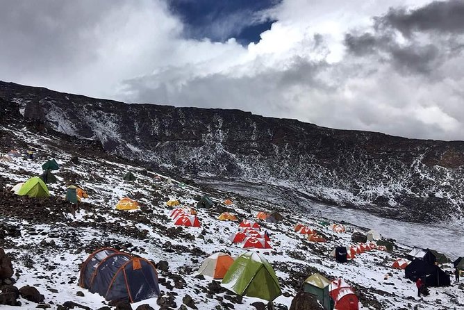 8 Days Lemosho Route Climbing - The first forest walk to Mti Mkubwa Camp