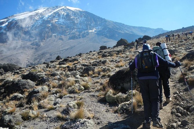 8 Days Lemosho Route Kilimanjaro Trekking - Key points to know before booking