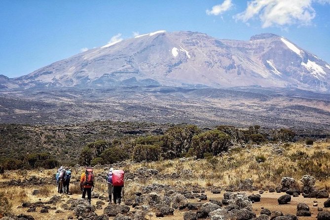 8 Days Lemosho Route Kilimanjaro Trekking - Why the Lemosho Route is worth eight days