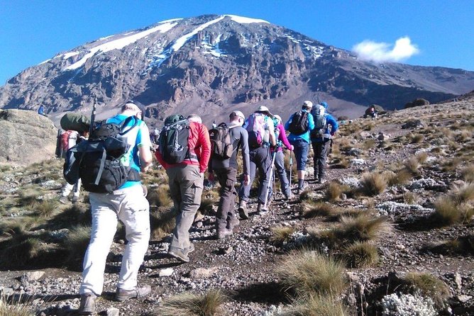 8 Days Lemosho Route Kilimanjaro Trekking - Day 1: From Arusha to the Lemosho rainforest