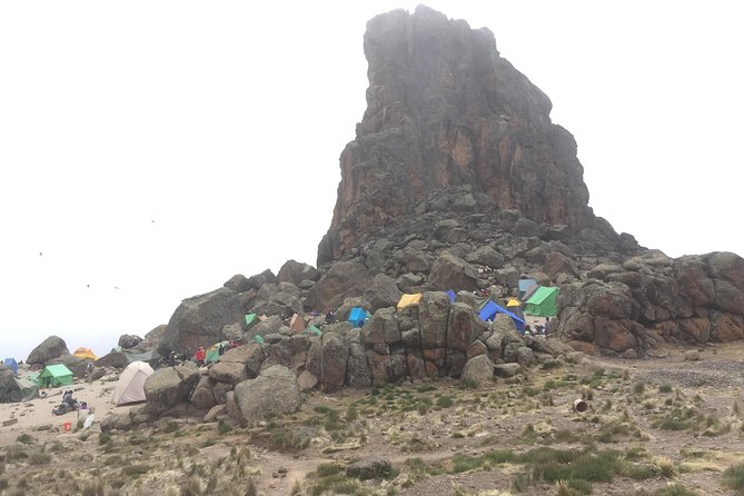 8 Days Lemosho Route - Day 2: Giant heather and the Shira Ridge