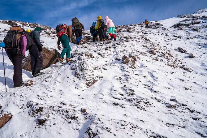 8 Days Mountain Kilimanjaro Lemosho Route - Day 5: Climbing the Barranco Wall