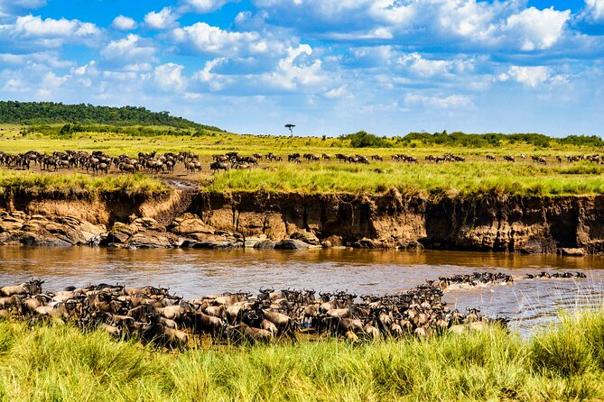 8 Days Private Safari in Serengeti Tour - Day 1: A soft landing in Arusha