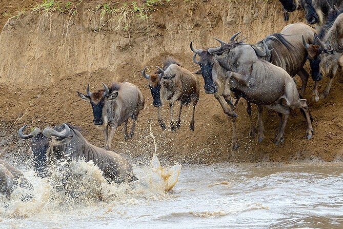 8 Days Serengeti Migration safari - Days 4 and 5: Following the migration in northern Serengeti