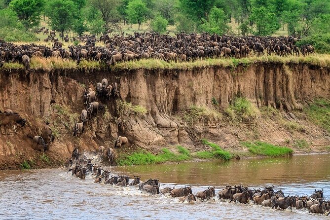 8 Days Serengeti Migration safari - Day 1: Arriving in Arusha