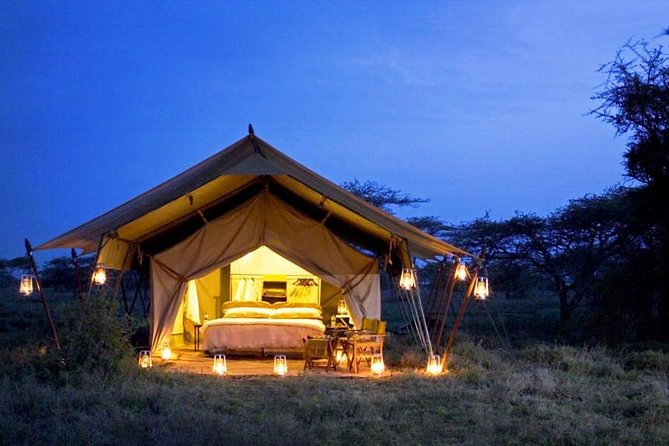 8 Days Tanzania Adventure Tented Camps Safari - Day 7: Early drive and Ngorongoro Crater