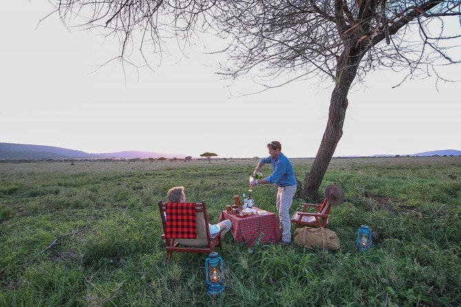 8 Days Tanzania Wildlife Safari Experience - Day 1: A simple Arusha arrival