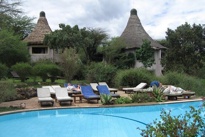 8 Days Tanzania Wildlife Safari Experience - Day 4: Lake Manyara adds birds and forest