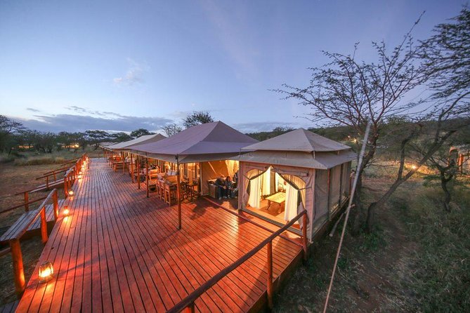 8 Days Tanzania Wildlife Safari Experience - Day 8: Flying from Seronera to Arusha