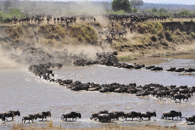 8 Days Tanzania Wildlife Safari Experience - What the $5,589.75 price includes