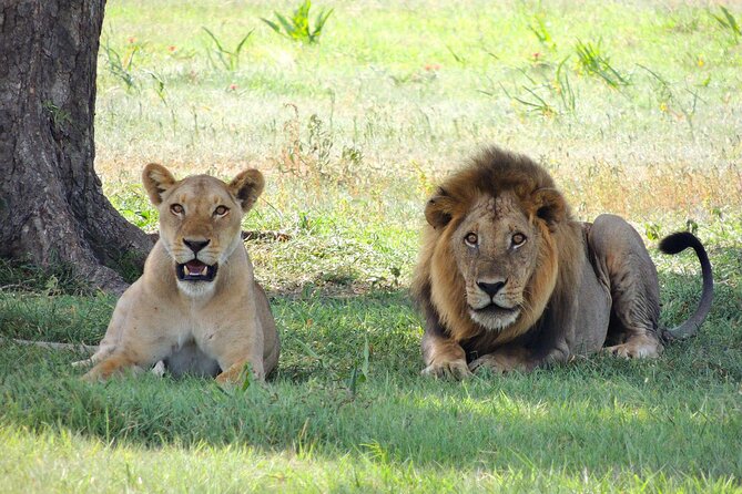 9-Day Enchanting Tanzania Safari -High End All Inclusive - The crater rim walk gives you a different perspective