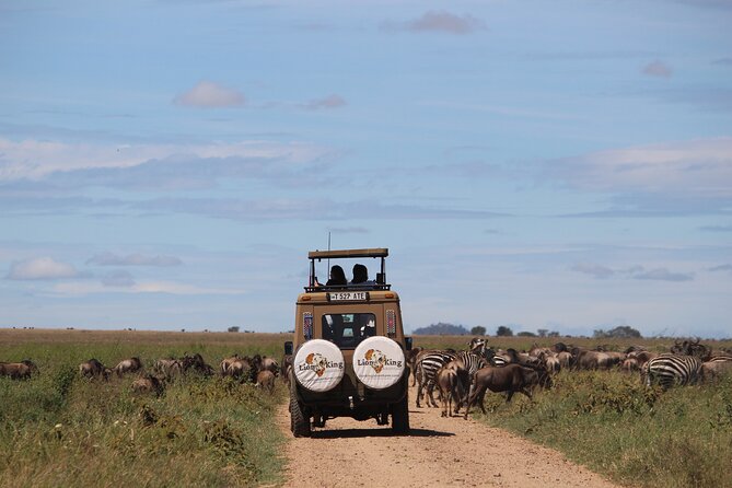 9-Day Serengeti Migration Footsteps Tanzania Safari - Day 6: Returning to Seronera for predators