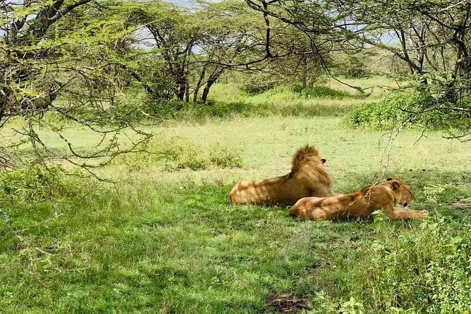9 Days - Best of Tanzania Safari - Tarangire: elephants, baobabs, and an easy first game drive