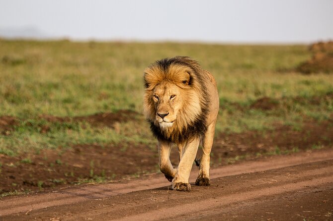9 Days Great Migration Safaris with Kojuu Safaris Africa-Luxury. - What the $4,110.96 price really covers