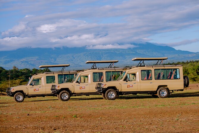 9 Days Great Migration Safaris with Kojuu Safaris Africa-Luxury. - Day 7: Final Serengeti game drive and Karatu