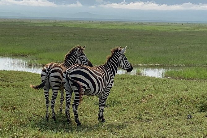 9-Days High End Road and Air Kenya Safari - Days 4 and 5: Dawn in the Masai Mara